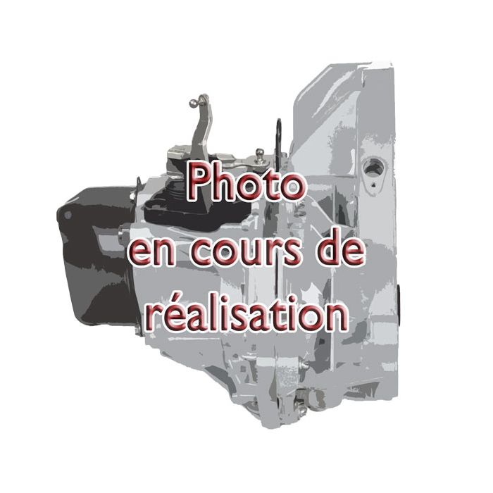 Boite de vitesse manuelle occasion Renault Espace 4 Laguna 3 2.0 Dci 130-175 cv PK4-023 RENAULT